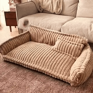 Lit orthopédique premium lavable pour chien