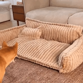 Lit orthopédique premium lavable pour chien