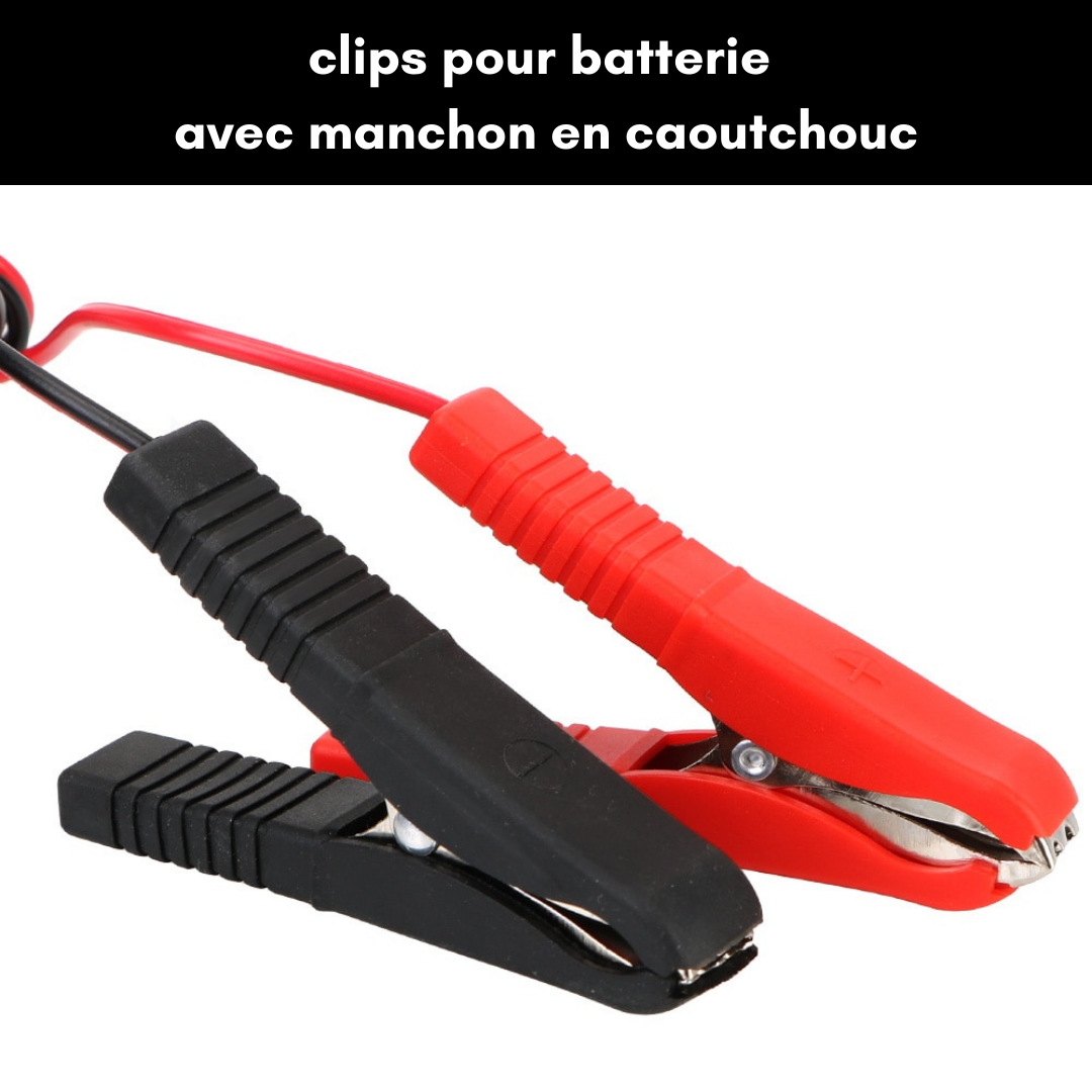 Testeur de Relais Automobile 12V/24V