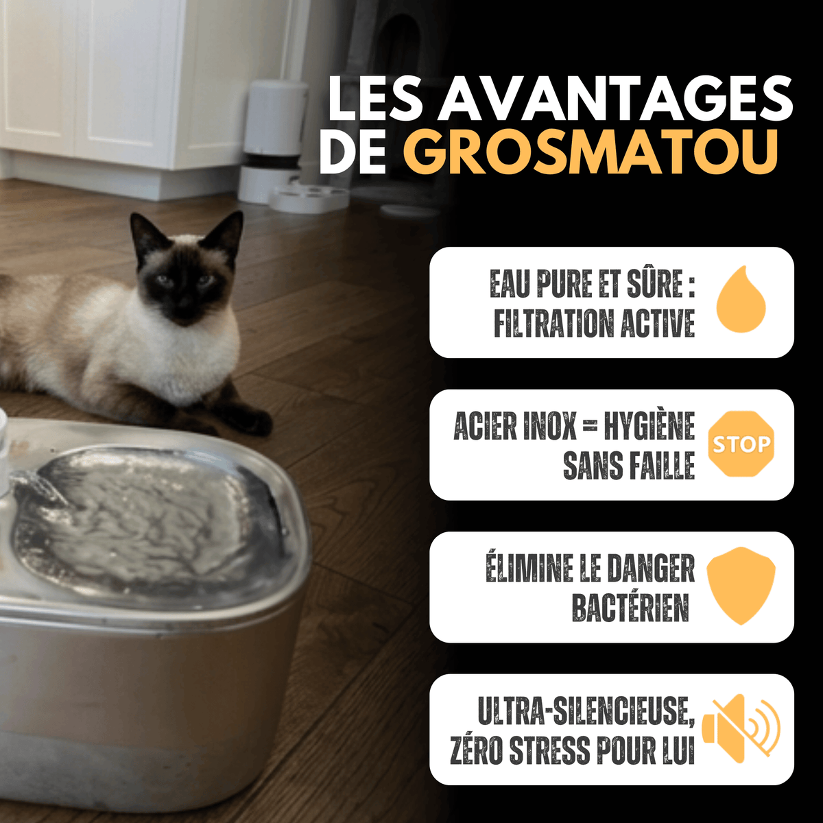 Fontaine à Eau Sans Fil Inox 4L pour Chat