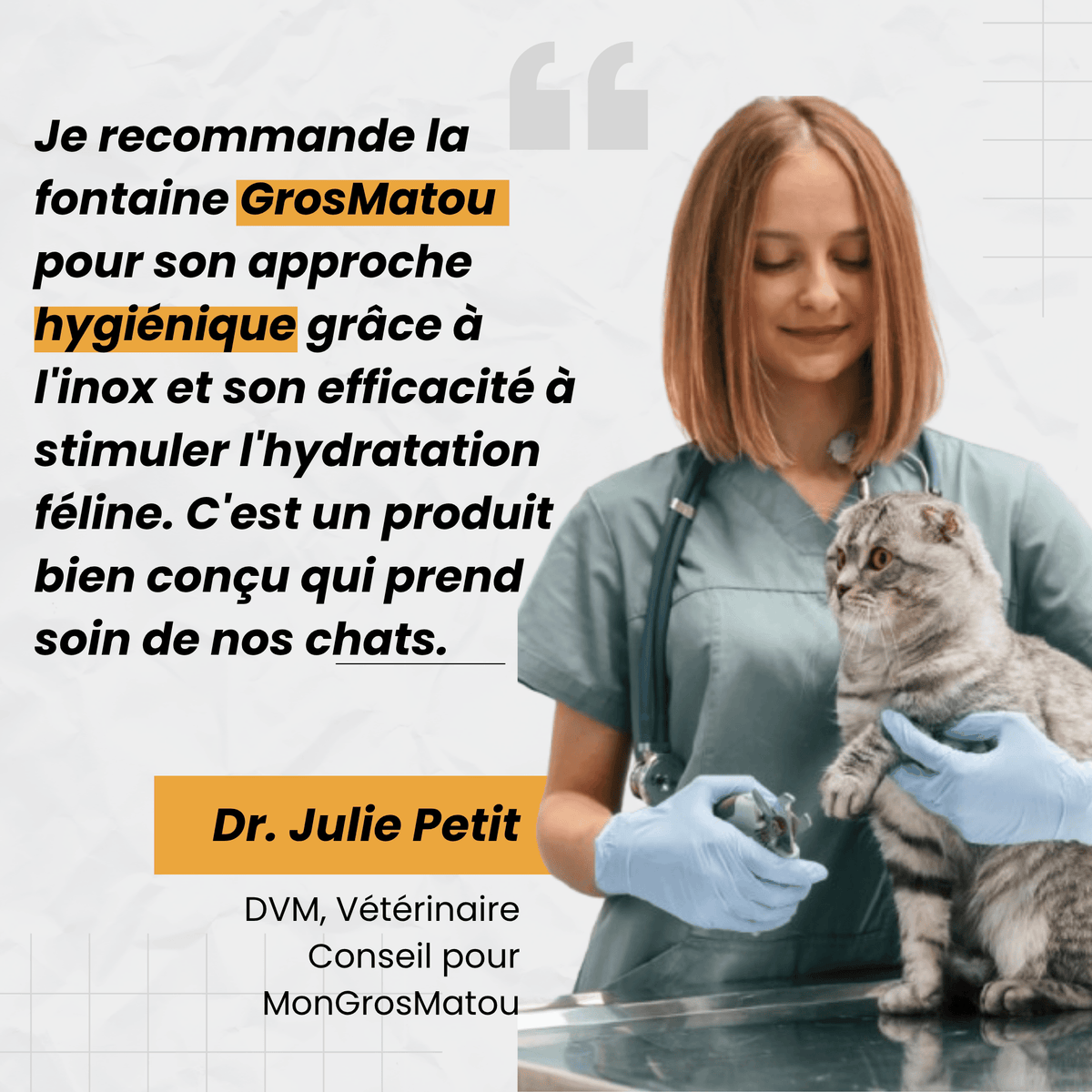 Fontaine à Eau Sans Fil Inox 4L pour Chat