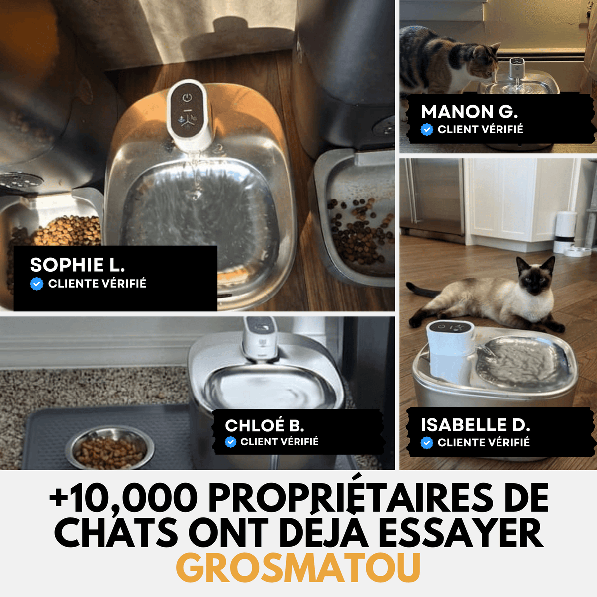 Fontaine à Eau Sans Fil Inox 4L pour Chat