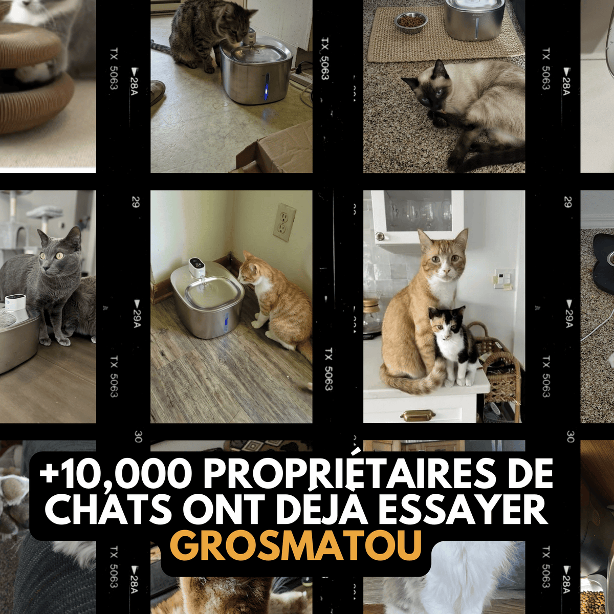 Fontaine à Eau Sans Fil Inox 4L pour Chat