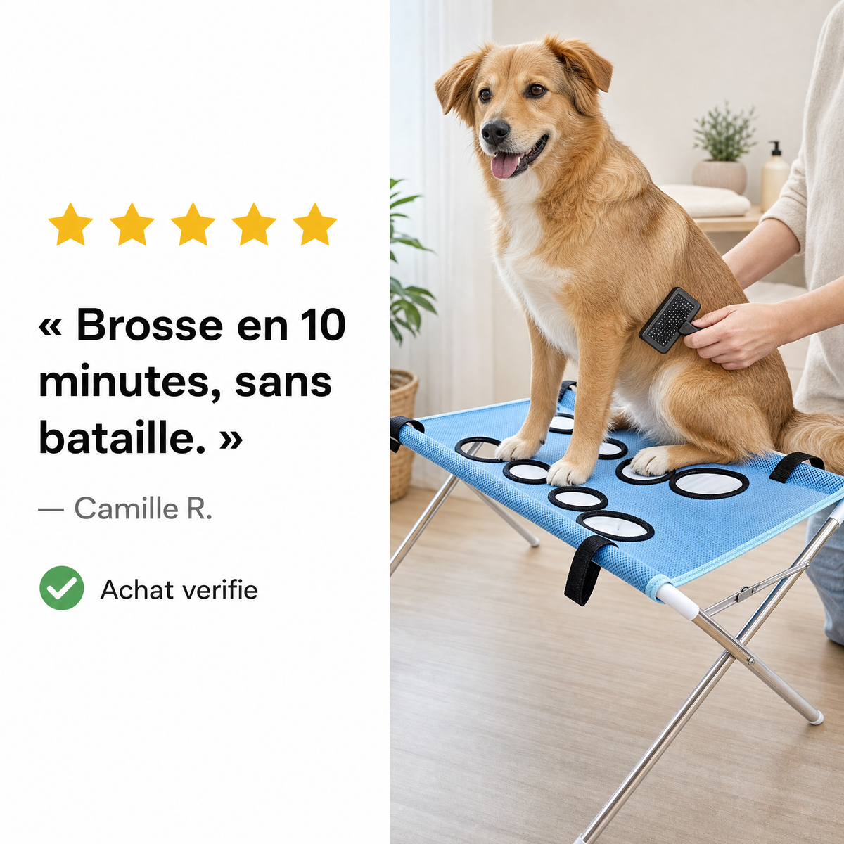 Table de Toilettage Pliable 2-en-1 pour Animaux
