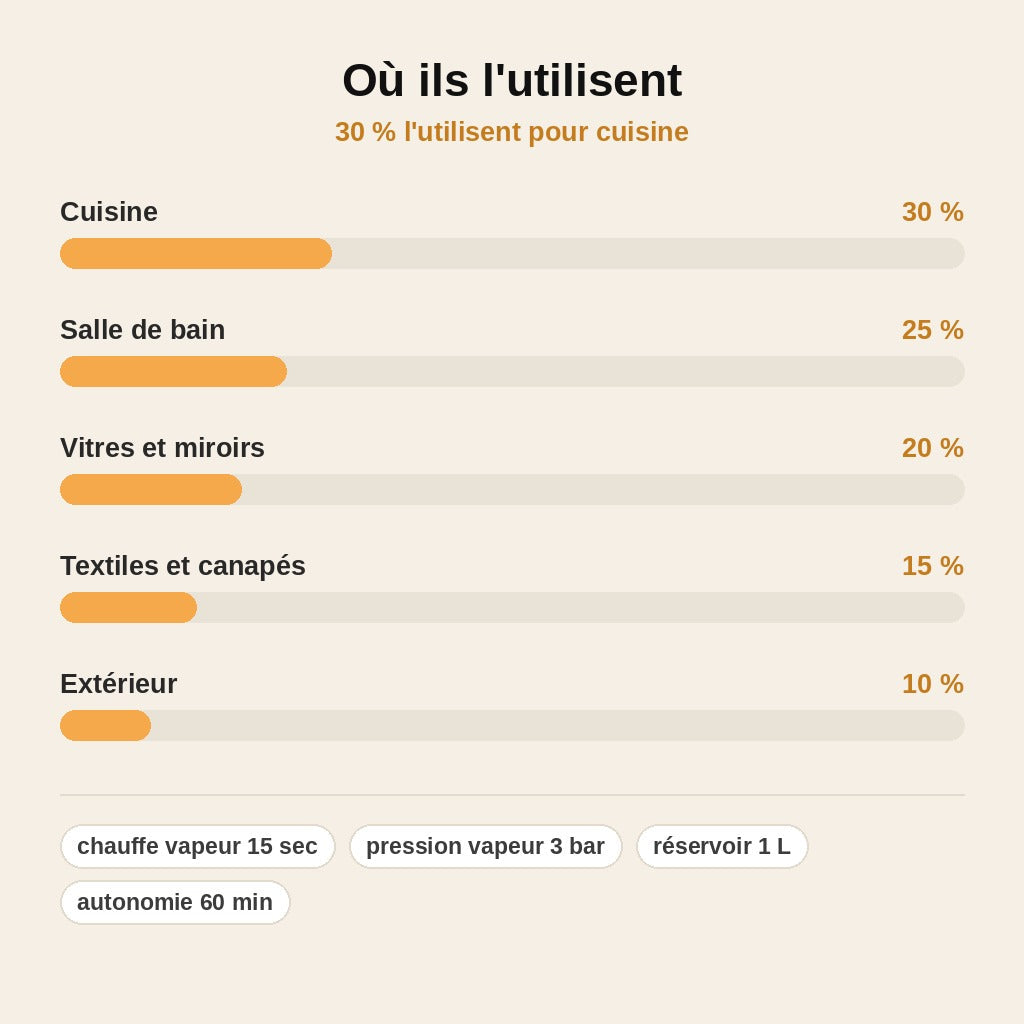 Nettoyeur Vapeur Haute Pression Multisurface