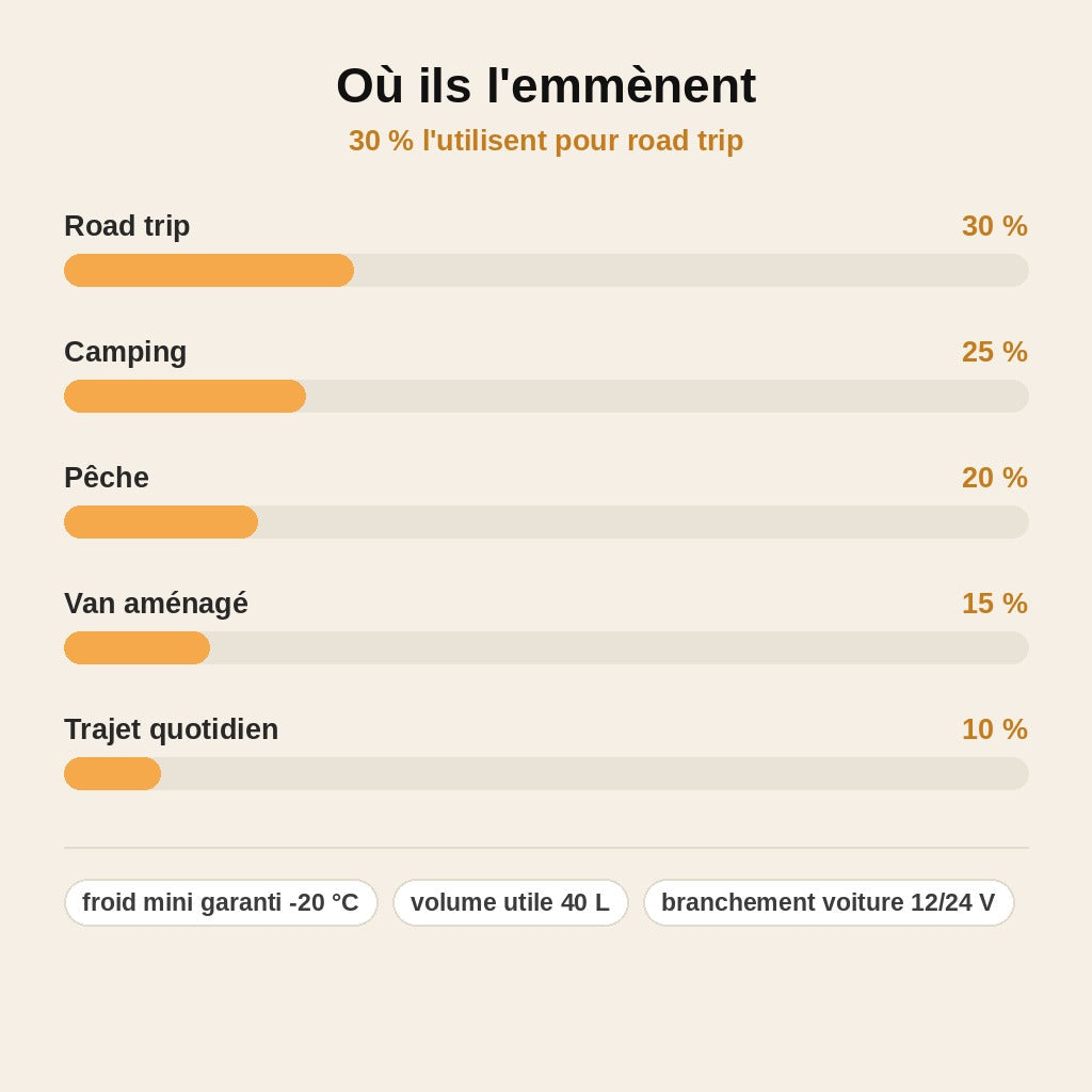 Glacière Électrique de Voiture 40L – Réfrigérateur Compresseur 12V/24V, -20°C à 20°C